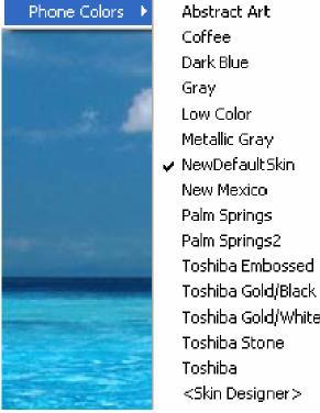 Skins Skins provide the method for changing the color scheme and button appearance. Skins can affect the following elements of Net Phone: Screen colors, texture, rounding, and appearance.