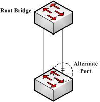 2. Designated port: a port responsible for forwarding data to the downstream network segment or device. Figure 1-3 Designated port 3. Alternate port: The standby port for the root port or master port.