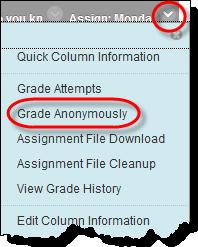 Access an assignment attempt s contextual menu. 2. Select Grade Anonymously. The Grade Assignment page appears.