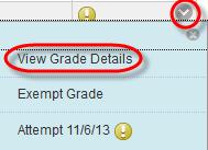 The Grade Details page appears. 4. Click Allow Additional Attempt and confirm.