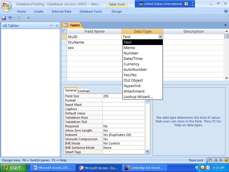steps above, you will see a figure as below: It is a table in Design View format. As you see on the picture, there are three header columns: Field Name, Data Type and Description.
