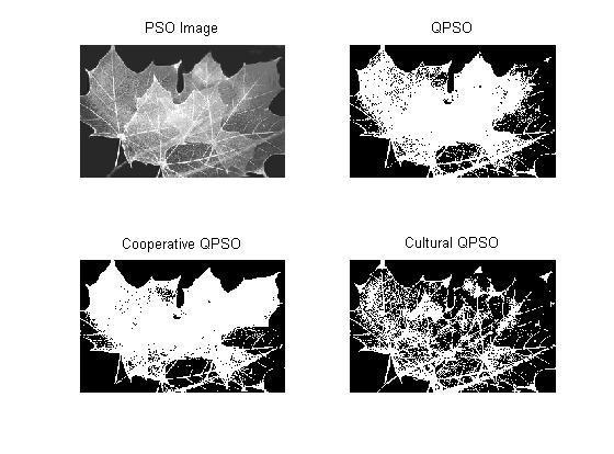 International Journal of Computer Engineering and Applications, Volume VIII, Issue I, Part I, October 14 Figure 7 : Image segmented using 2d Otsu (leaf) [6] CONCLUSION Figure 8 : Image segmented