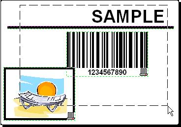 Chapter 3: Label Design and Printing 2. Choose a select arrow in the Toolbox and draw a frame around all objects to select all objects. Selecting the objects on the label 3.