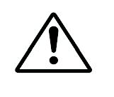 Safety Information The lighting flash with arrowhead symbol, within an equilateral triangle.