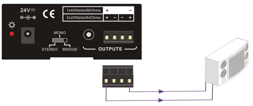 Audio Connections Default output: 2x20Watt@4Ohm The default output of the amplifier is 2x20Watt@4Ohm.