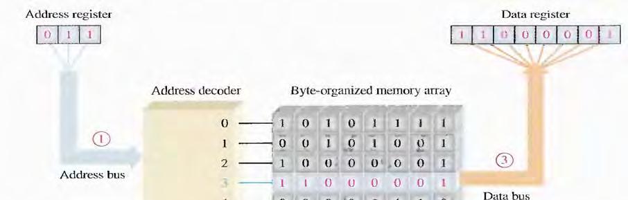 Read Operation A simplified read operation is illustrated in Figure Bit: The smallest unit of binary data Byte: data are handled in an 8-bit unit or in multiples of 8-bit units.