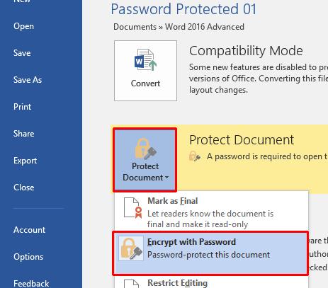 WORD 2016 ADVANCED Page 209 The Encrypt Document dialog