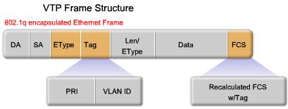 The VTP information is inserted into the data field of an Ethernet frame. The Ethernet frame is then encapsulated as a 802.