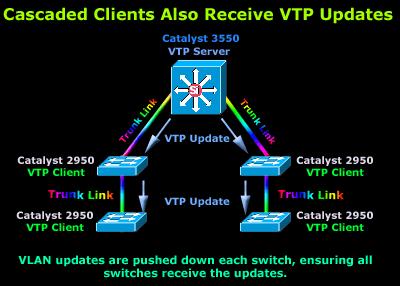 How VTP Works VTP Client Mode In most networks, the clients connect directly to the VTP Server as shown in our