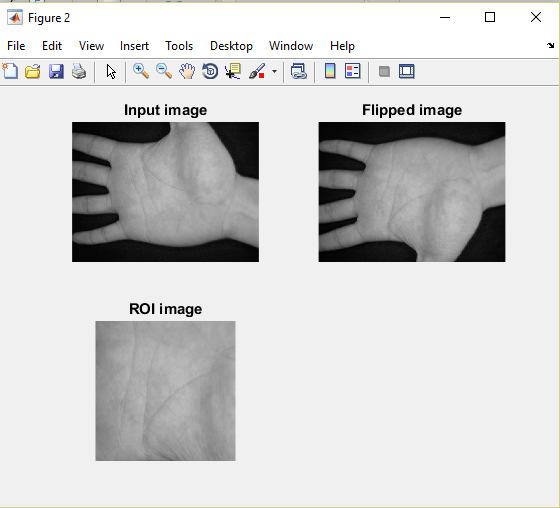 Figure-5(b): Right palmprint image
