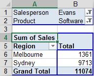 on OK. 5 Redisplay the data for all Salespersons and Products.