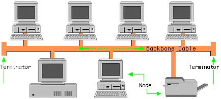 In a bus topology the computers are connected in a line, the cable is just one or more wires; pass it along from computer to computer. It is a passive topology.