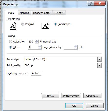 PAGE SETUP group. PAGE TAB 1. On the PAGE tab, select LANDSCAPE for orientation. 2.