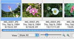 Changing the Browser Window Display (2/2) Setting the Information Displayed with Thumbnails You can set the image information that displays beneath thumbnails when the display mode is set to the