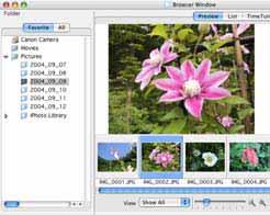 Opening Images This procedure involves opening the Viewer Window from the Browser Window to open images.