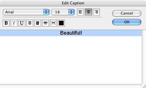 (5/8) Typing a caption You can type captions for individual images. Select an image and on the [Edit] menu, click [Edit Caption].