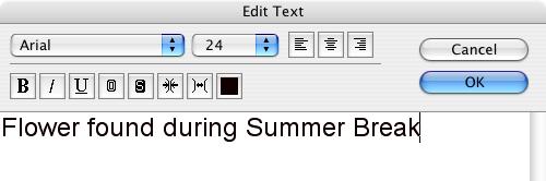 (6/8) Typing text You can type text anywhere you want in the layout. First, make sure that noting is selected and on the [Edit] menu, click [Add Text]. A window where you can type text appears.