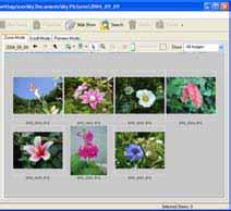 Opening Images This procedure involves opening the Viewer Window from the Browser Area to open images.