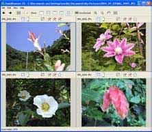 Using the Viewer Window (2/4) Displaying Multiple Images You can display two to four images at once in the Viewer Window by clicking the [Split Screen] button.
