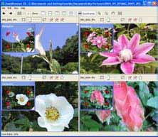 When multiple images are displayed in the Viewer Window, clicking the Back and Next buttons replaces all the images with the next set of images ahead or behind.