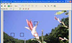 Using the Viewer Window (3/4) Displaying the Autofocus Frame When you click the [Show Auto Focus Points] button, an autofocus frame showing the focus position at the time of shooting will appear.