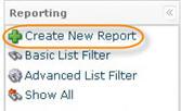 Report". 3. The "Create New Report" window opens.