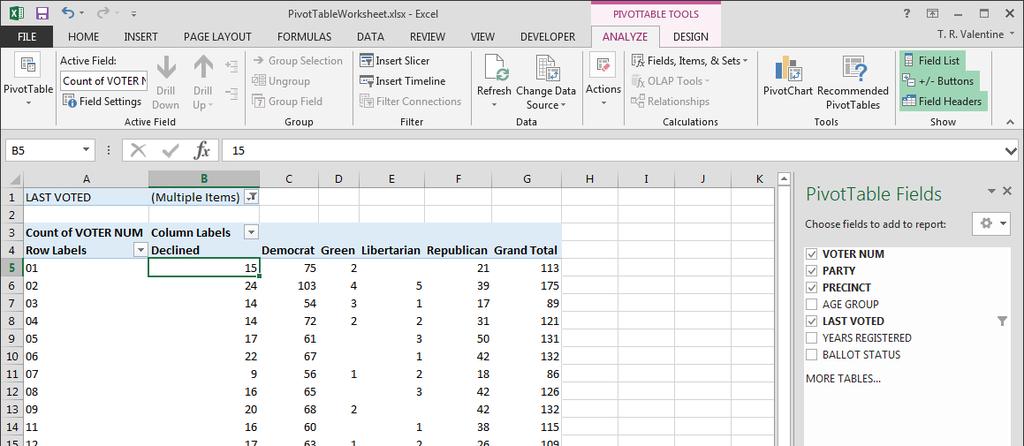 The Pivot Table is updated with the filter just selected and