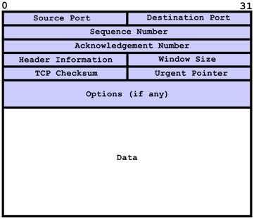 TCP Packet Header Data