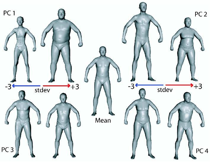 Other 3D Animation Techniques SCAPE: data-driven statistical model of human body shapes rig a mean template human once