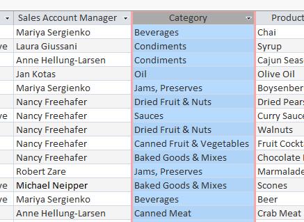 With the Category field highlighted, click on the Category field name again and drag the field to the left of the Sales Account Manager field.