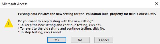 As we are only interested in making certain all new record entries conform to the rule, click on the Yes button to keep the new settings and continue testing.