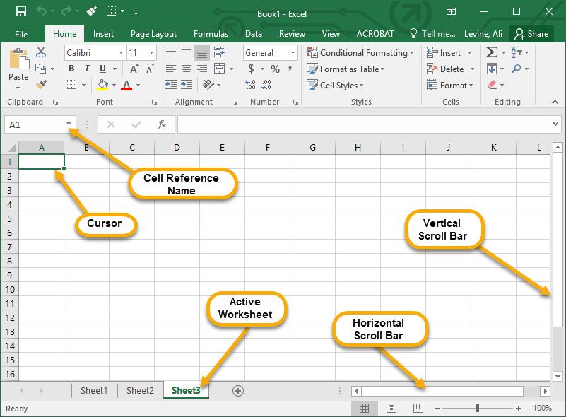 Selection Options There are many ways to select data in an Excel worksheet. Selection A single cell The contents of a cell A contiguous range of cells. A noncontiguous range of cells.