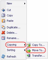 In the menu which will appear, select Copying» Move To (see the screenshot below).