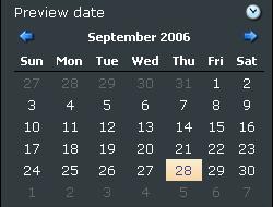 5.2.1.2 Preview Date The Preview Date section allows the user to see the website as it appears on different dates.