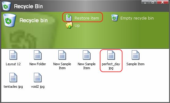 Select the item you wish to restore and click the Restore Item button located on the toolbar (see the screenshot below).