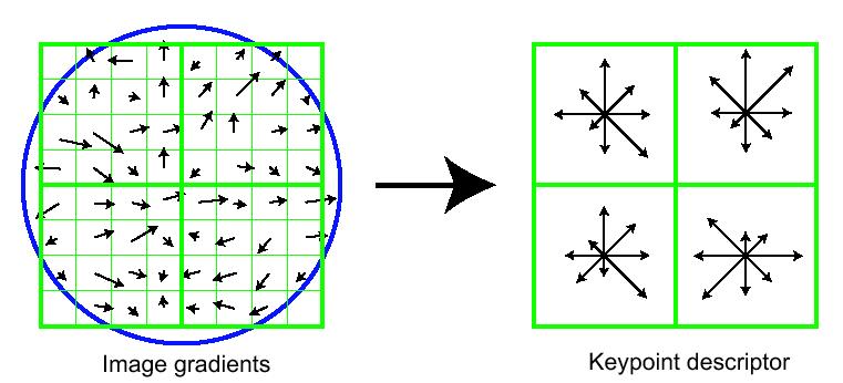 SIFT feature representation Once a keypoint orientation has been selected, the feature descriptor is computed as a set of orientation histograms on 4 4 pixel neighborhoods.