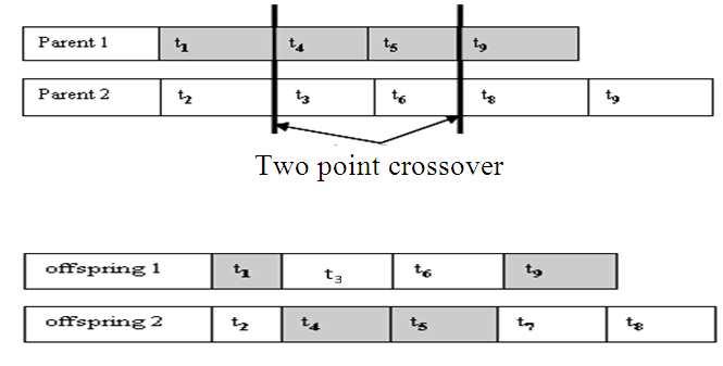 them to produce two child (offspring) chromosomes. We examine one and two point crossover operators.