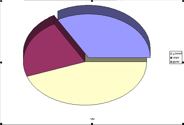 Create 3-D pie chart using chart wizard onto a new chart worksheet name Sales Pie Chart. 3. Rotate the pie chart 90, elevation 45 and height 70% of base.