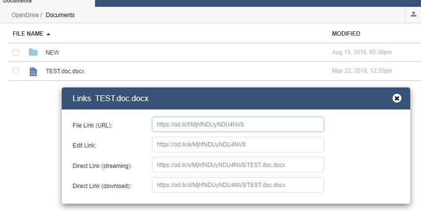 Files can be shared the same way as folders through URLs from the links option or