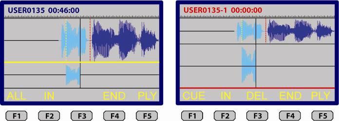 RAW files can be edited but without the waveform (replaced by a large tape).