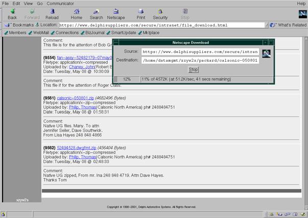 Another window will open showing the Netscape (in the case you use Netscape) download process, showing a