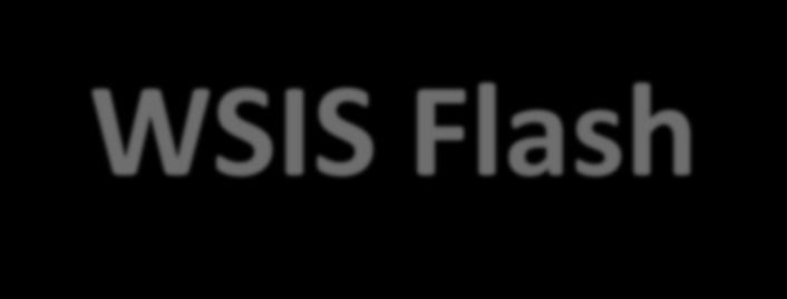 WSIS Flash Monthly newsletter providing updates on the activities