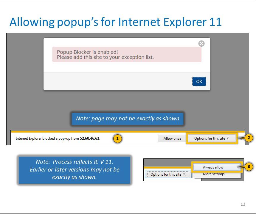 Internet Explorer 11 (IE) Browser By default, IE blocks popups from opening. When a popup is blocked, the popup information bar is displayed at the bottom of the page.