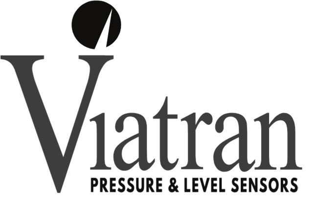 Viatran DL Series Analog Input Process Meter Instruction