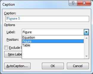 List of figures To insert a caption select your figure by clicking on it. Then do the following: 1. On the REFERENCES tab click INSERT CAPTION. 2. The caption dialogue box will now appear.