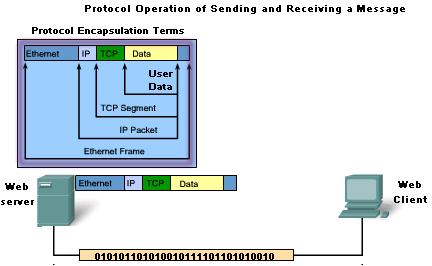 The Sending and Receiving process When sending messages on a network, the protocol stack on a host operates from top to bottom.