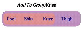 Group Hierarchies Transform (Parent group shown in purple above) Transform (containing Thigh) Transform (Parent group shown in orange above) Transform (containing Shin) Transform (containing Foot)