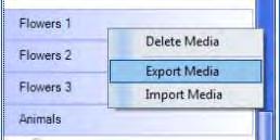 In the Content panel (located on the left of the Clap-Along/Notes list), choose whether you would like to export the corresponding media files.