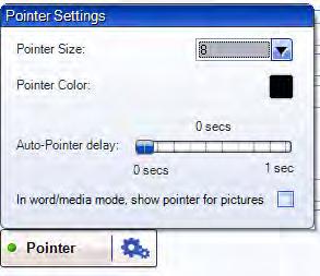 You may choose how your pointer looks like and other pointer settings that will take effect during playback by clicking on the Cog button beside the Pointer button: Pointer size - There are 5 sizes