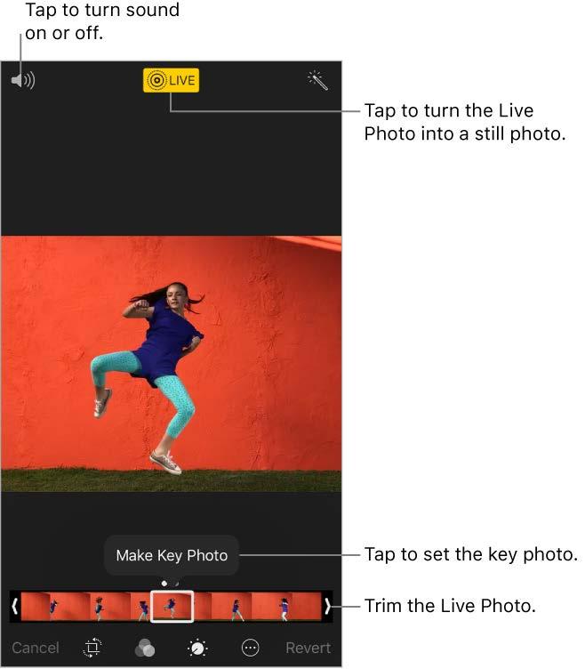 Make a still photo from a Live Photo. View the Live Photo, tap Edit, then tap the Live button in the upper center. Set a key photo for a Live Photo.